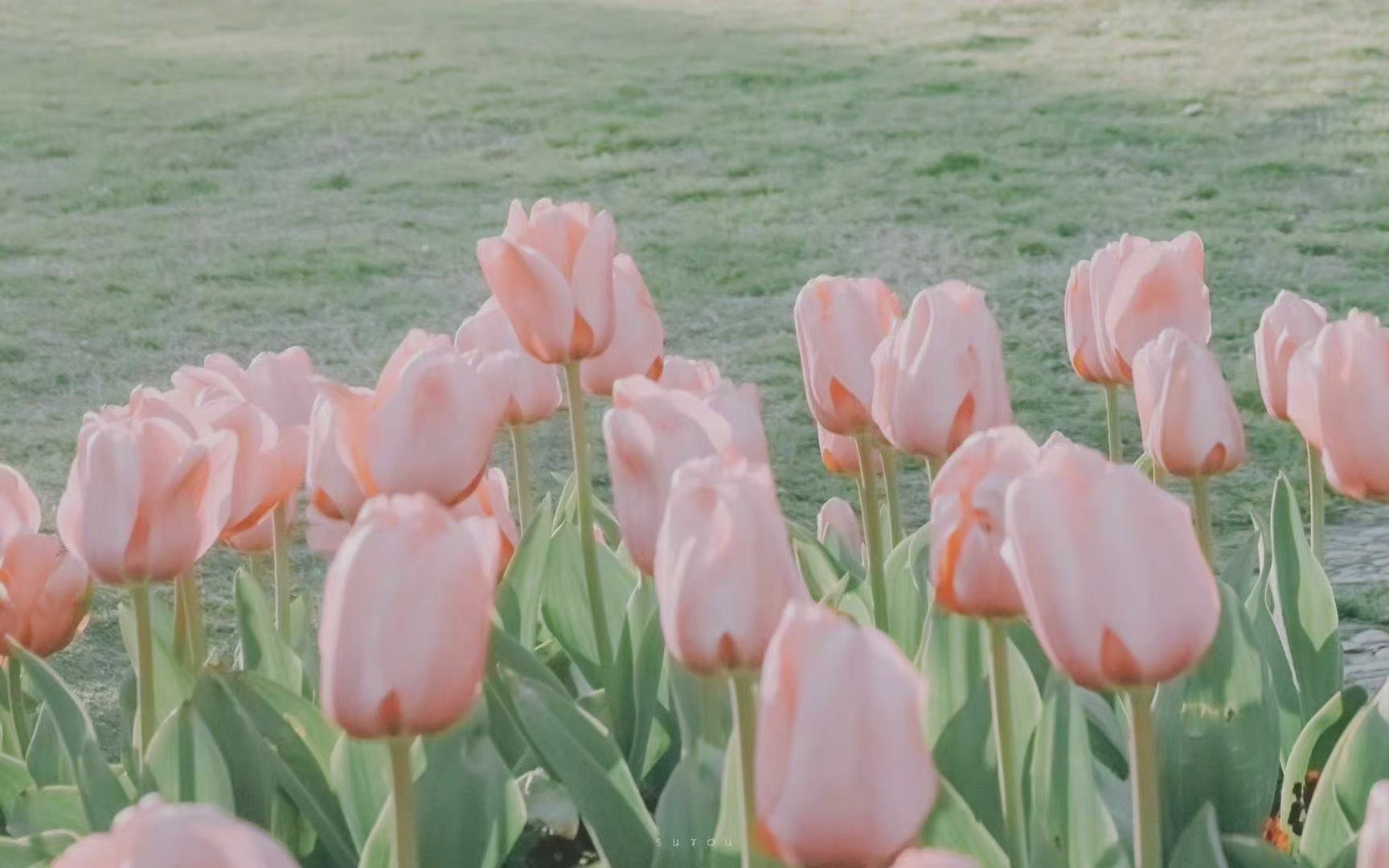 �̽�Ա����Ƭ_��ʦ��ҽ���