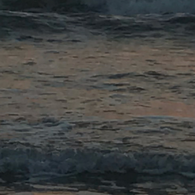 �Ž�Ա����Ƭ_��ʦ��ҽ���